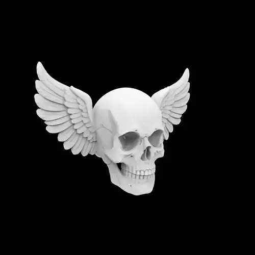 Simple Skull with Feathered Wings 3D Print Model