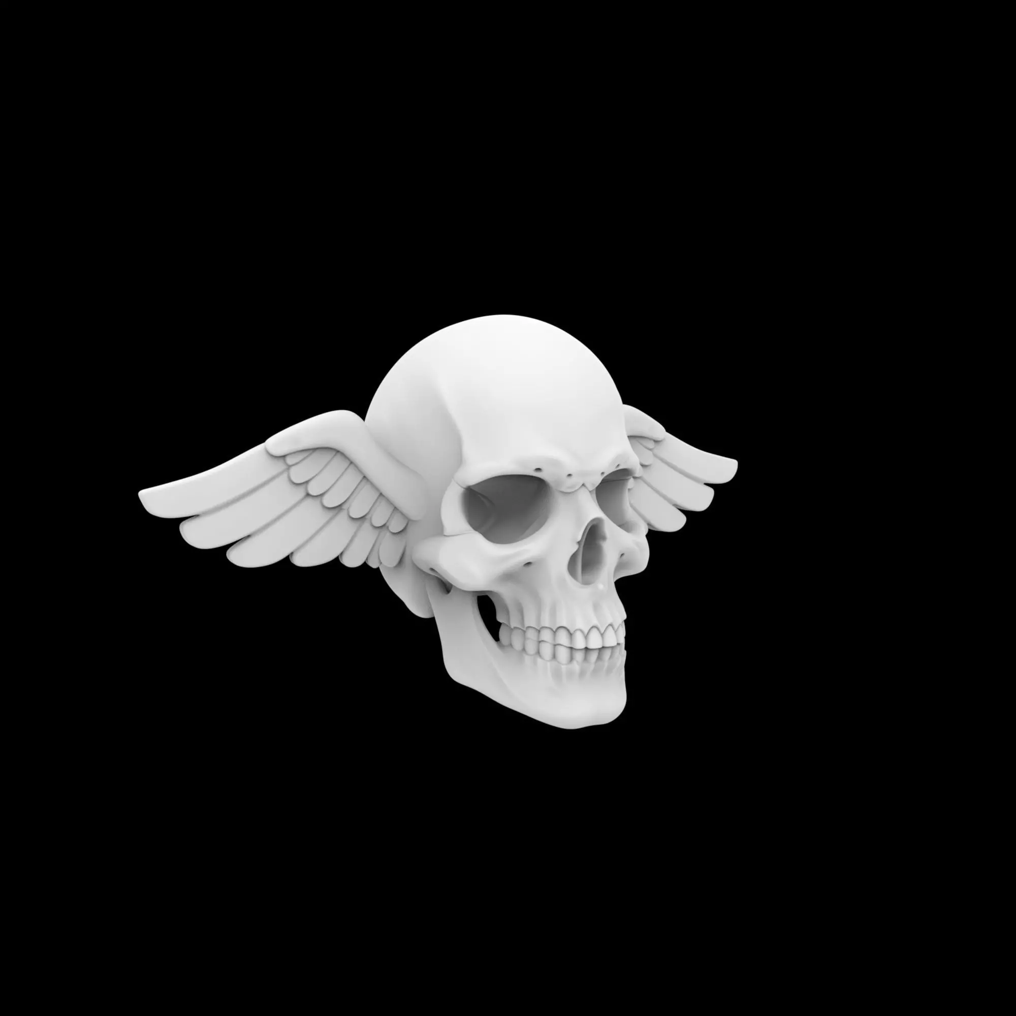 Simple Skull With Wings 3D Print Model 3D print model
