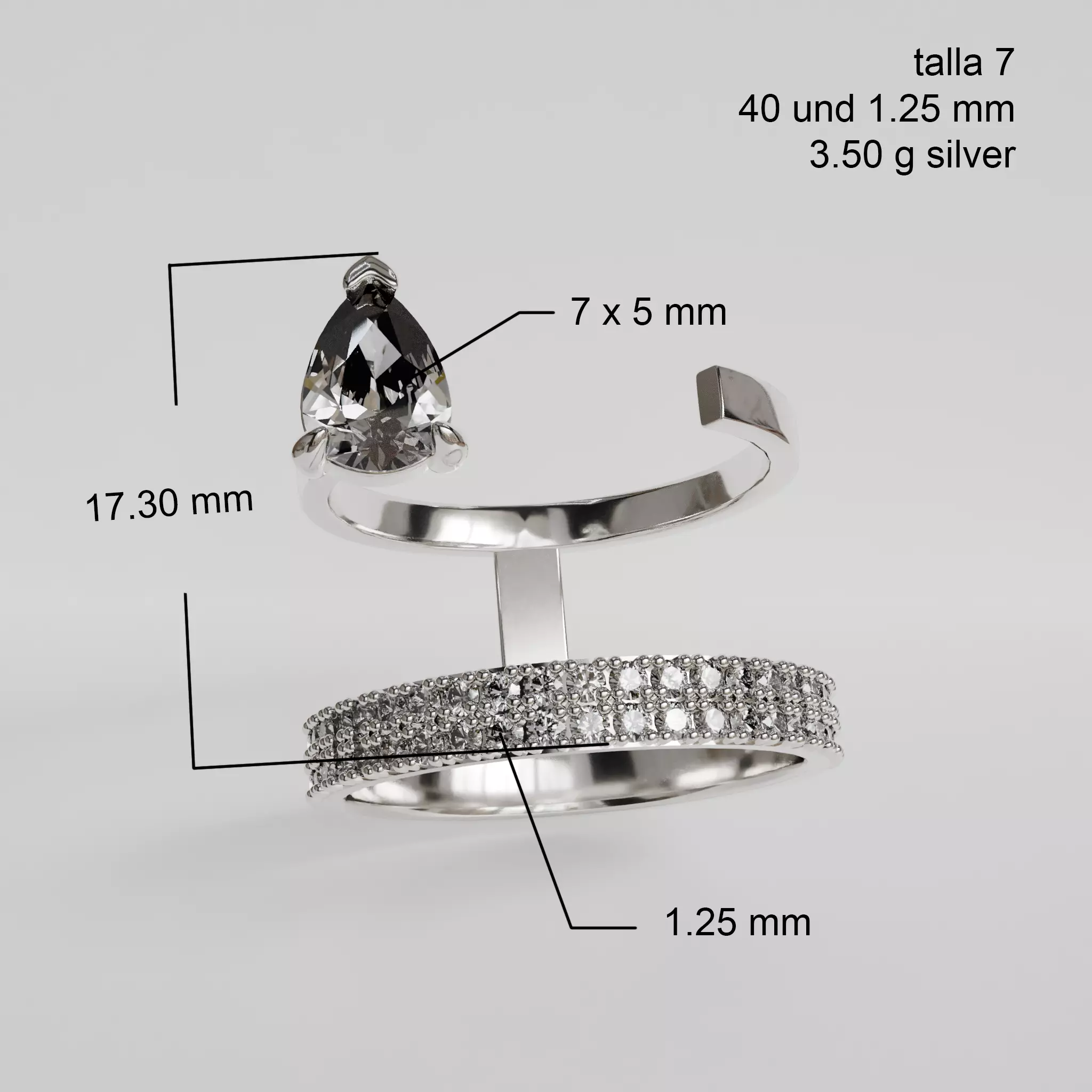 Double ring 3D print model