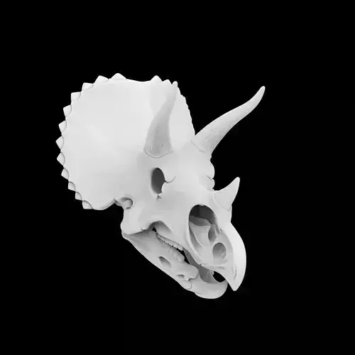 Triceratops Skull 3D Print Model