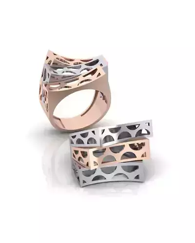 bypass gold ring 2 part