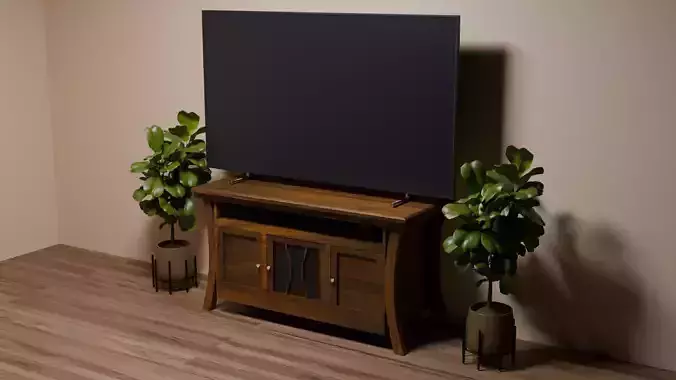 Elegant Wood TV Stand