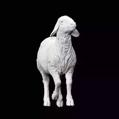 Oveja 3D print model