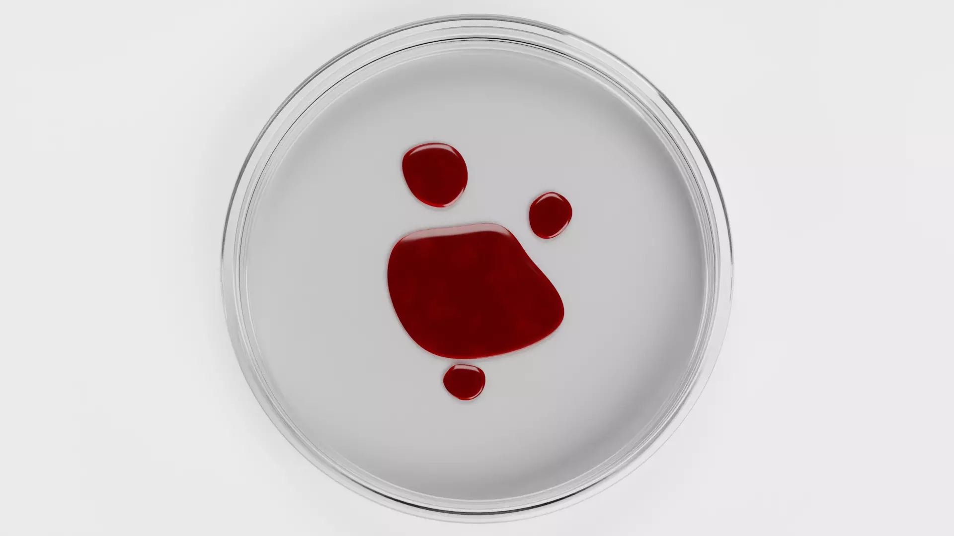 Petri Dish with Blood Drops Low-poly 3D model_5