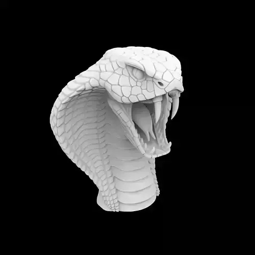Extended Cobra With Open Fangs 3D Print Model
