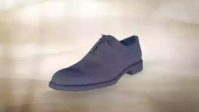 Unused leather mens shoe 006