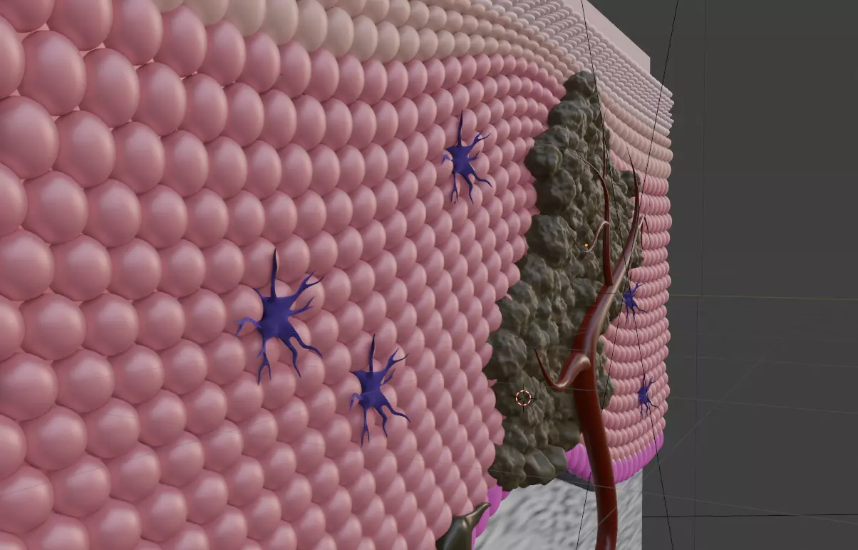 3d model of Cancer cell and animation 3D model_2