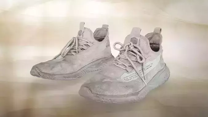 A pair of used shoes 015