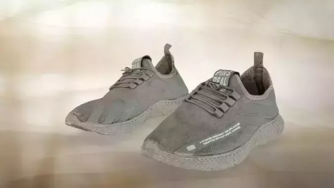 A pair of used sport shoe 017