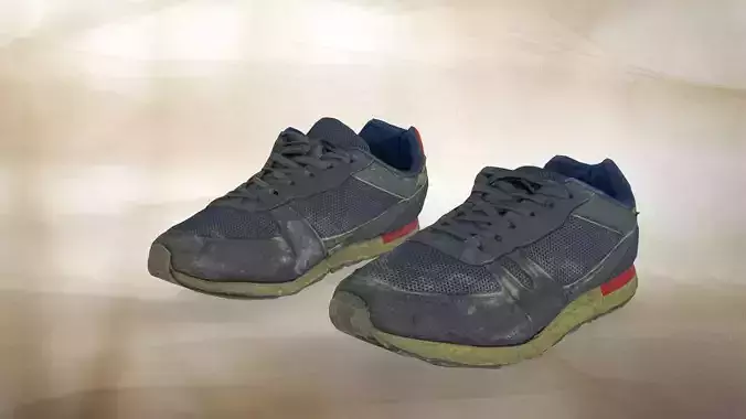 A pair of used sport shoe 018