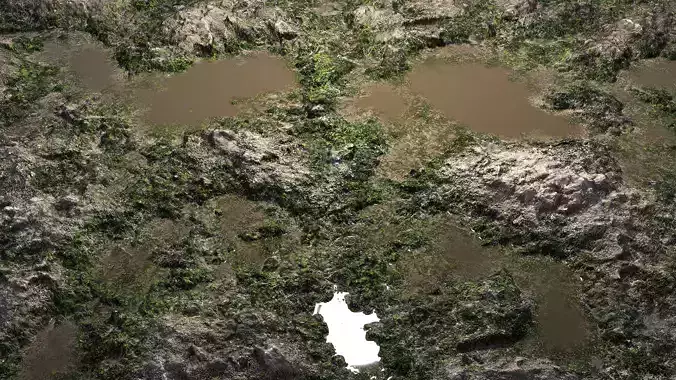 Beach Rock 8K PBR Texture