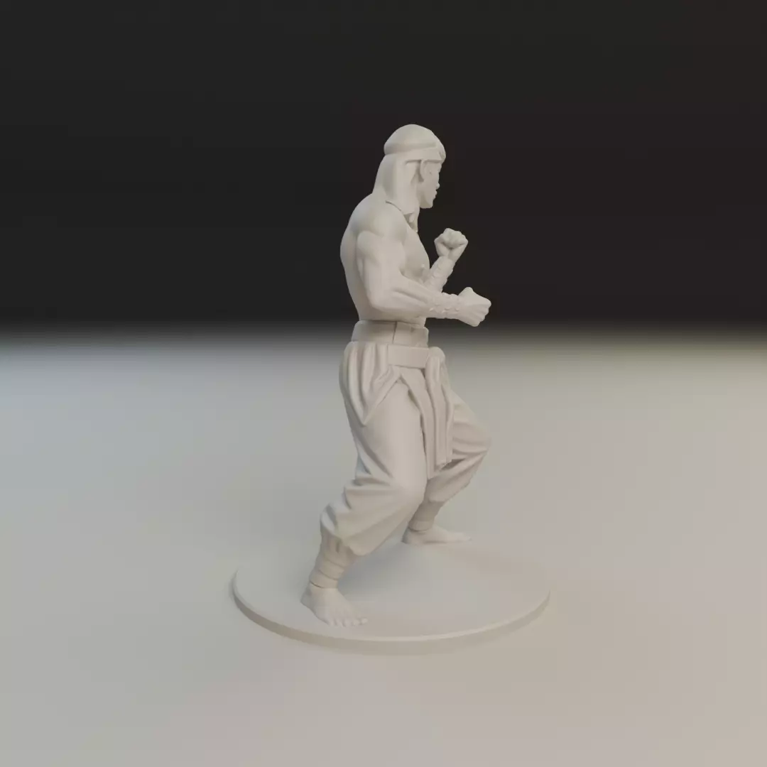 Liu Kang MK3 3D print model_12