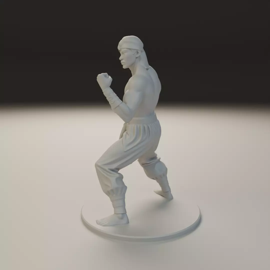 Liu Kang MK3 3D print model_8