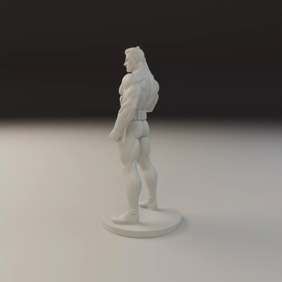 Punisher 3D print model_3