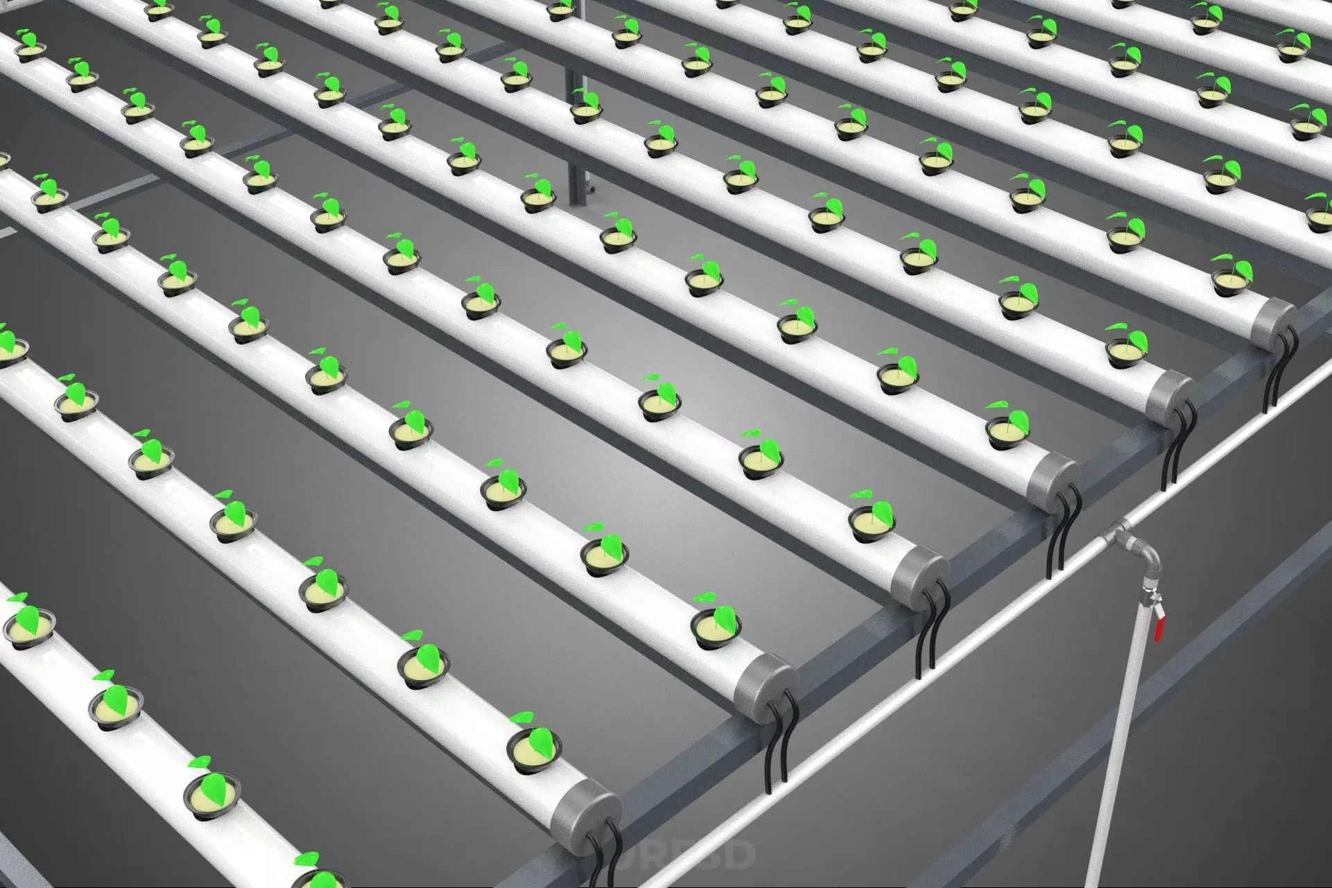 HYDROPONIC FARM SETUP SEEDLINGS GROW NET POTS PARALLEL NFT PIPES 3D model_14