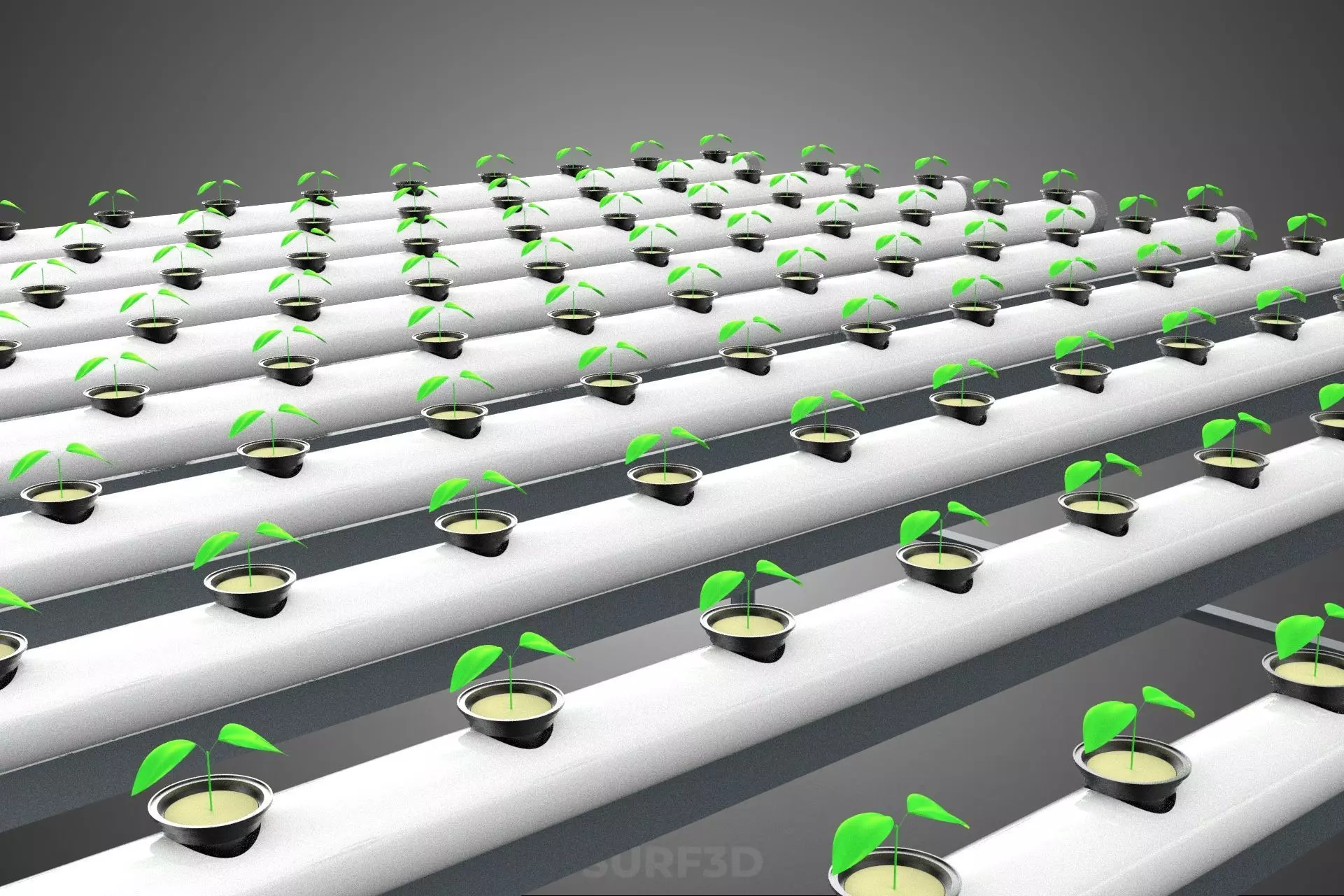 HYDROPONIC FARM SETUP SEEDLINGS GROW NET POTS PARALLEL NFT PIPES 3D model_28