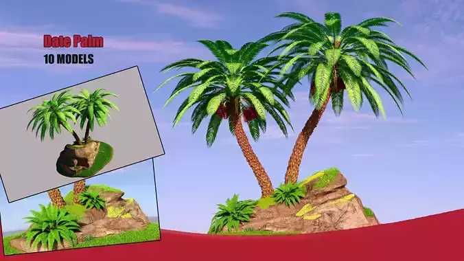 Palm Tree 3D model