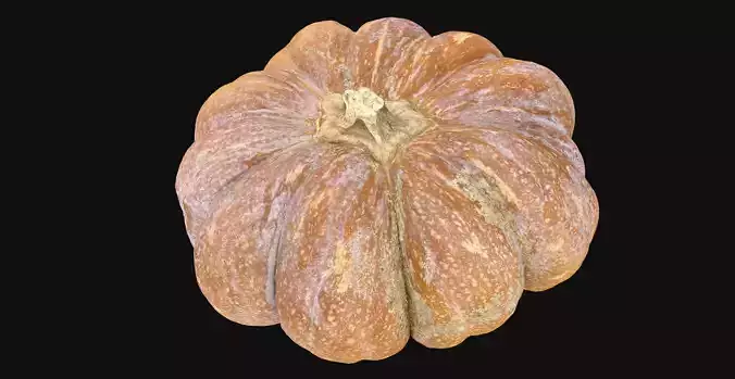 Realistic Pumpkin 3d scan in highpoly