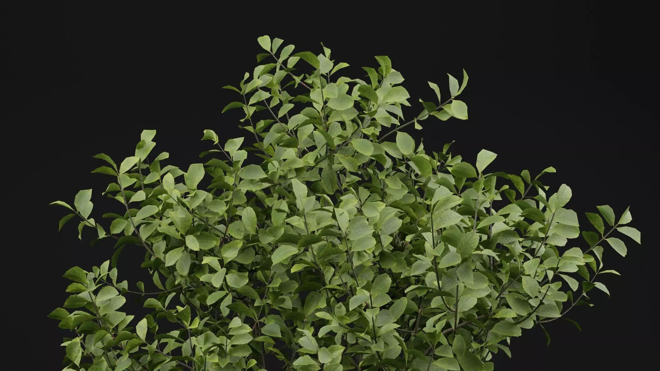 European Spindle Bush 3D model_1