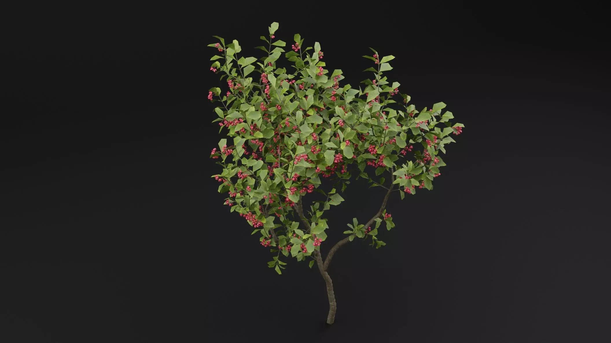 European Spindle Bush 3D model_3
