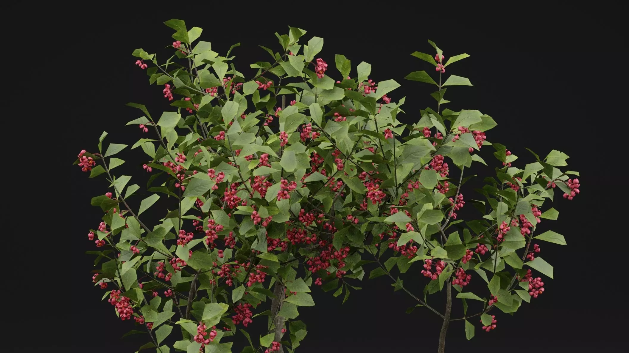 European Spindle Bush 3D model_1