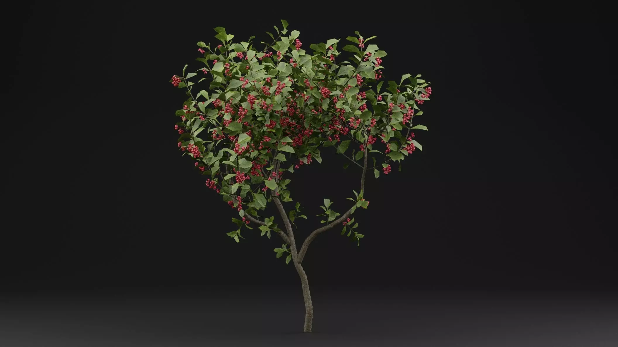European Spindle Bush 3D model_0