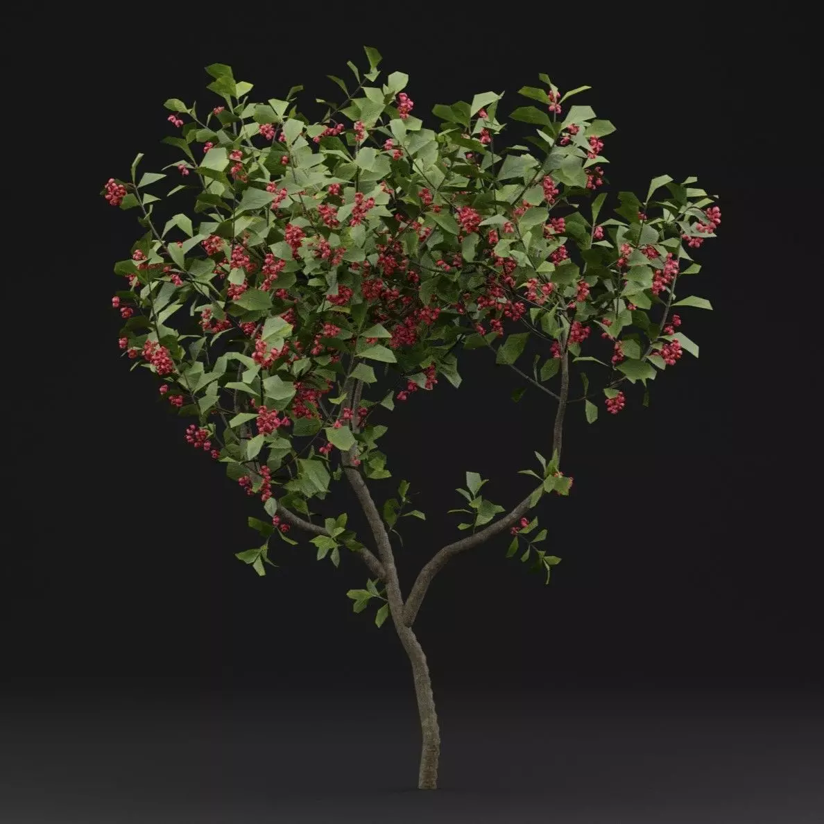 European Spindle Bush 3D model_5