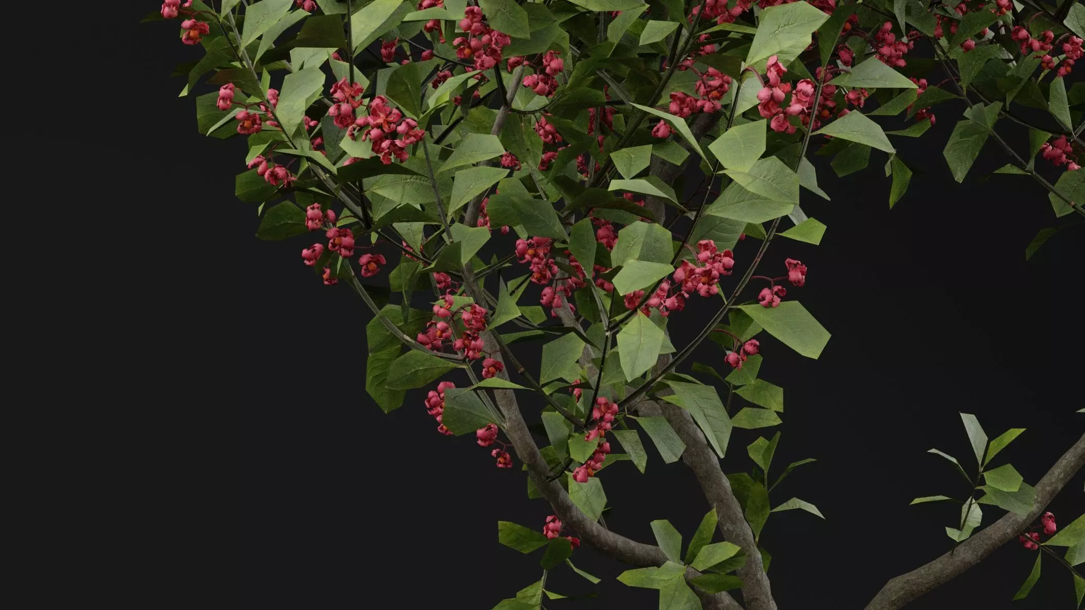 European Spindle Bush 3D model_2
