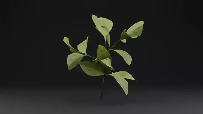 Bush European Spindle