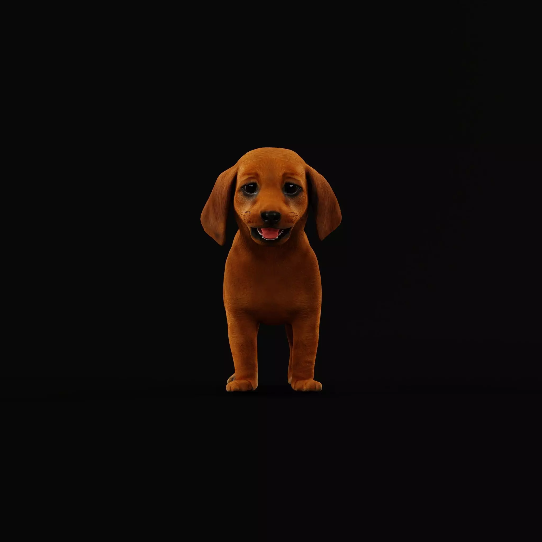Dachshund Puppy Dog Low-poly 3D model_10