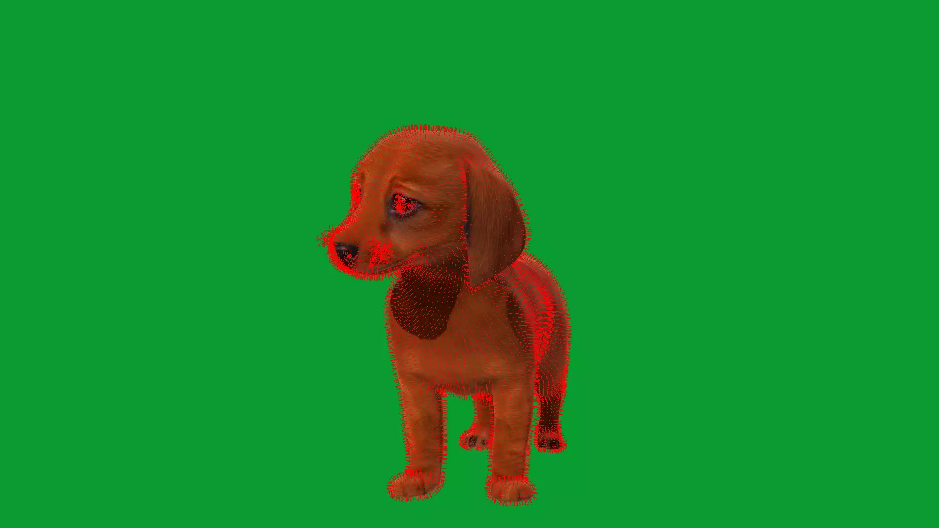 Dachshund Puppy Dog Low-poly 3D model_31