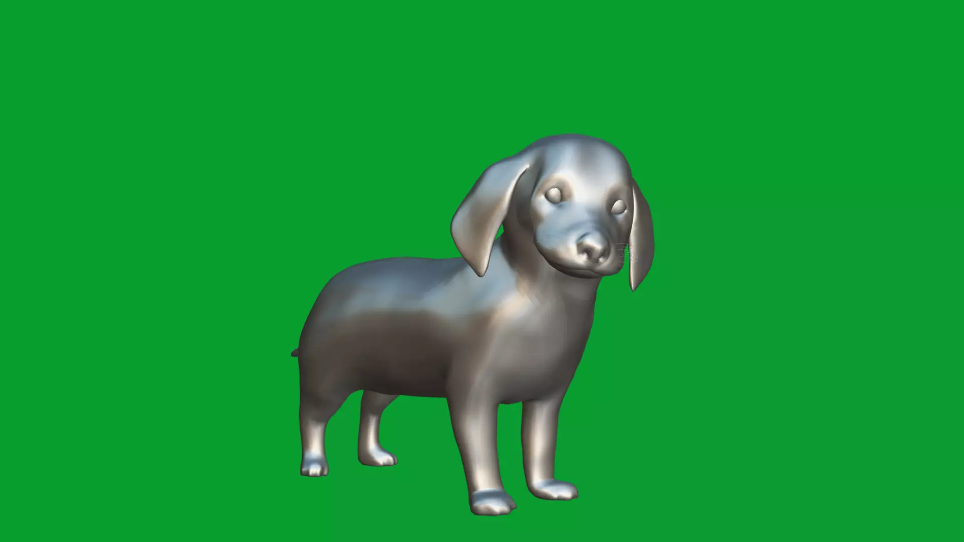 Dachshund Puppy Dog Low-poly 3D model_17