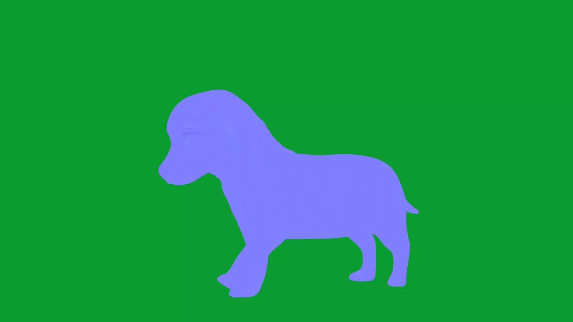 Dachshund Puppy Dog Low-poly 3D model_27