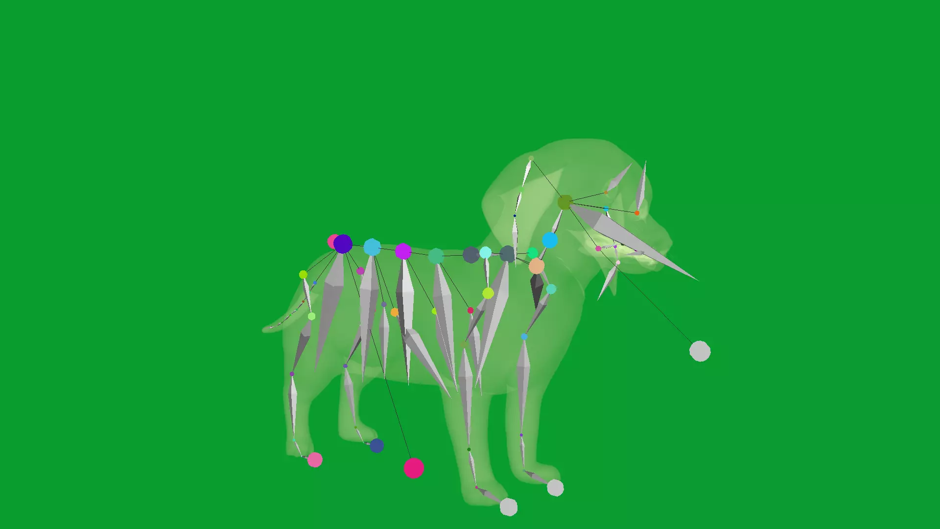 Dachshund Puppy Dog Low-poly 3D model_20