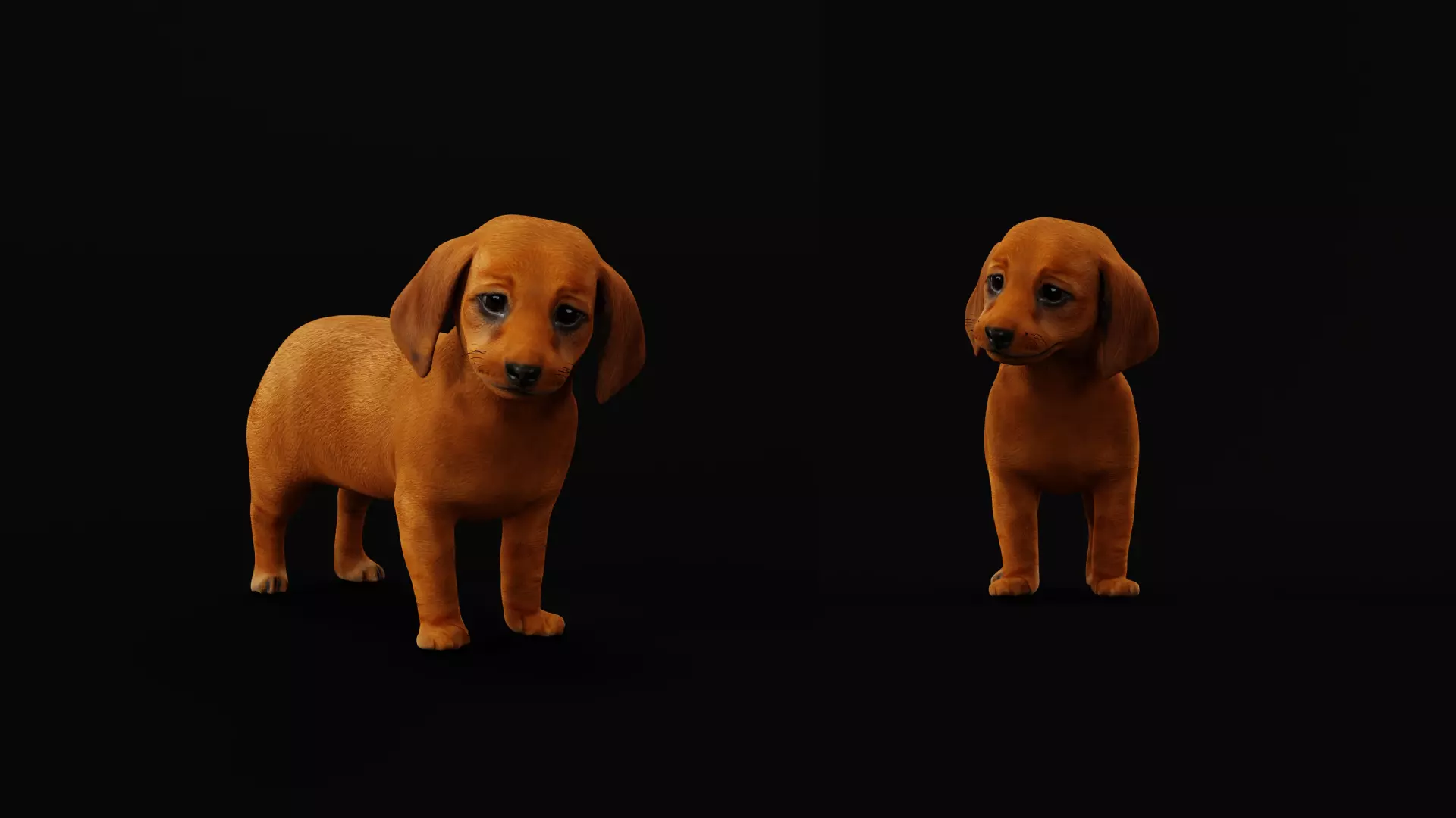 Dachshund Puppy Dog Low-poly 3D model_16