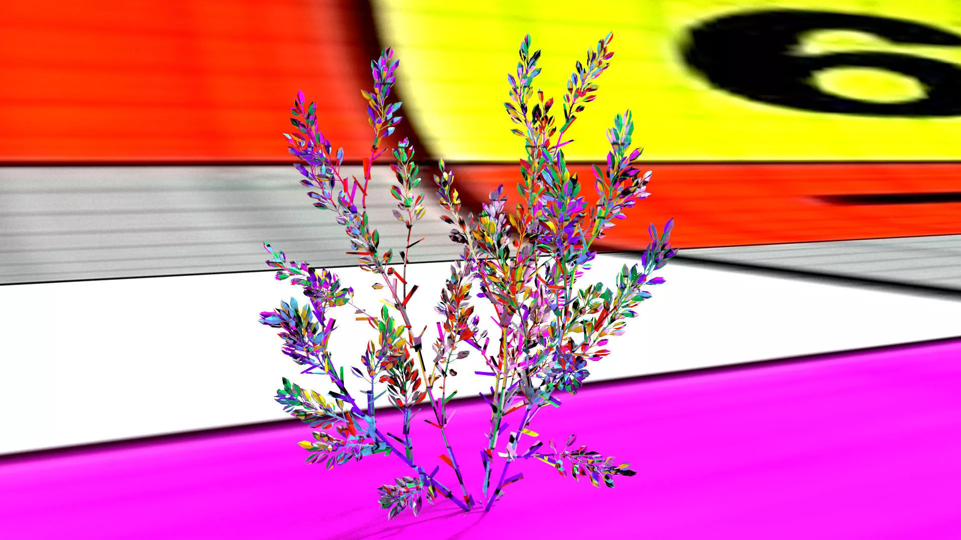 laos Lavender 3D model_11
