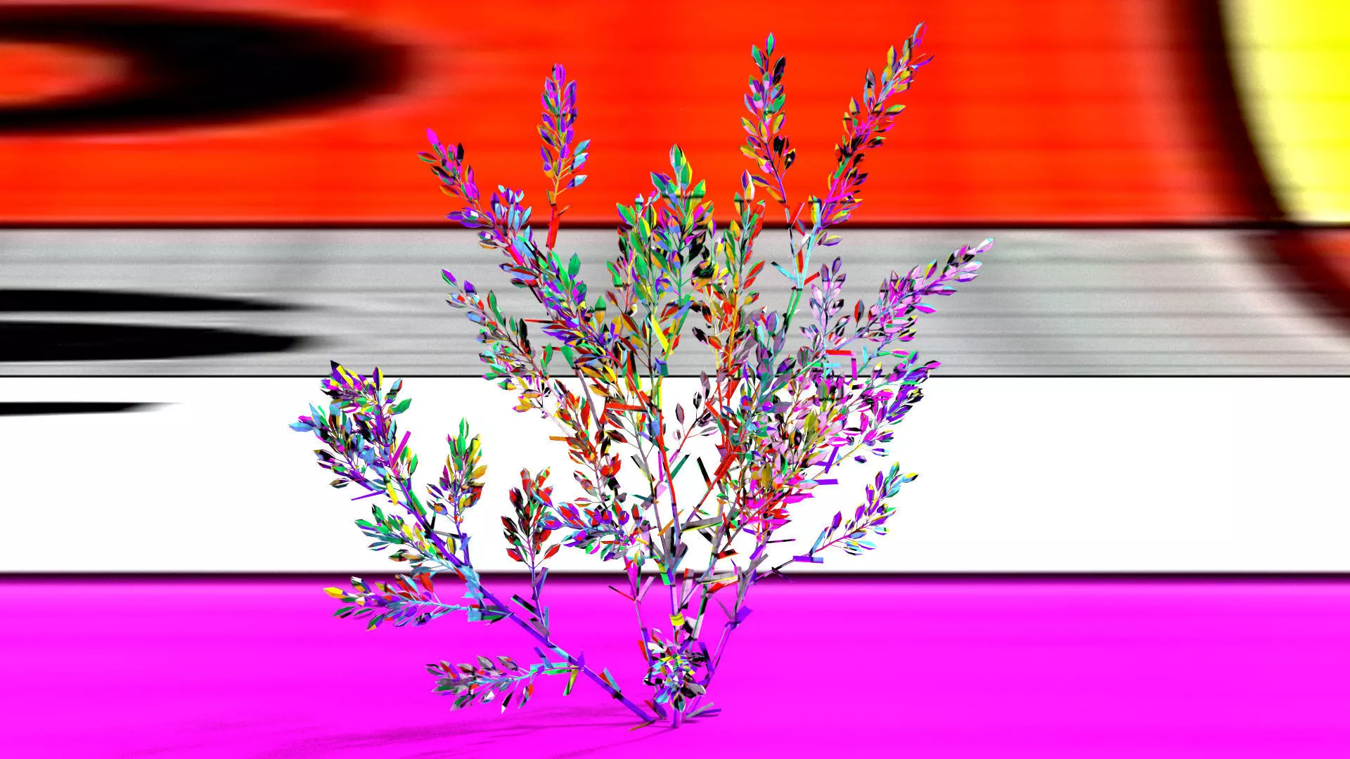 laos Lavender 3D model_10