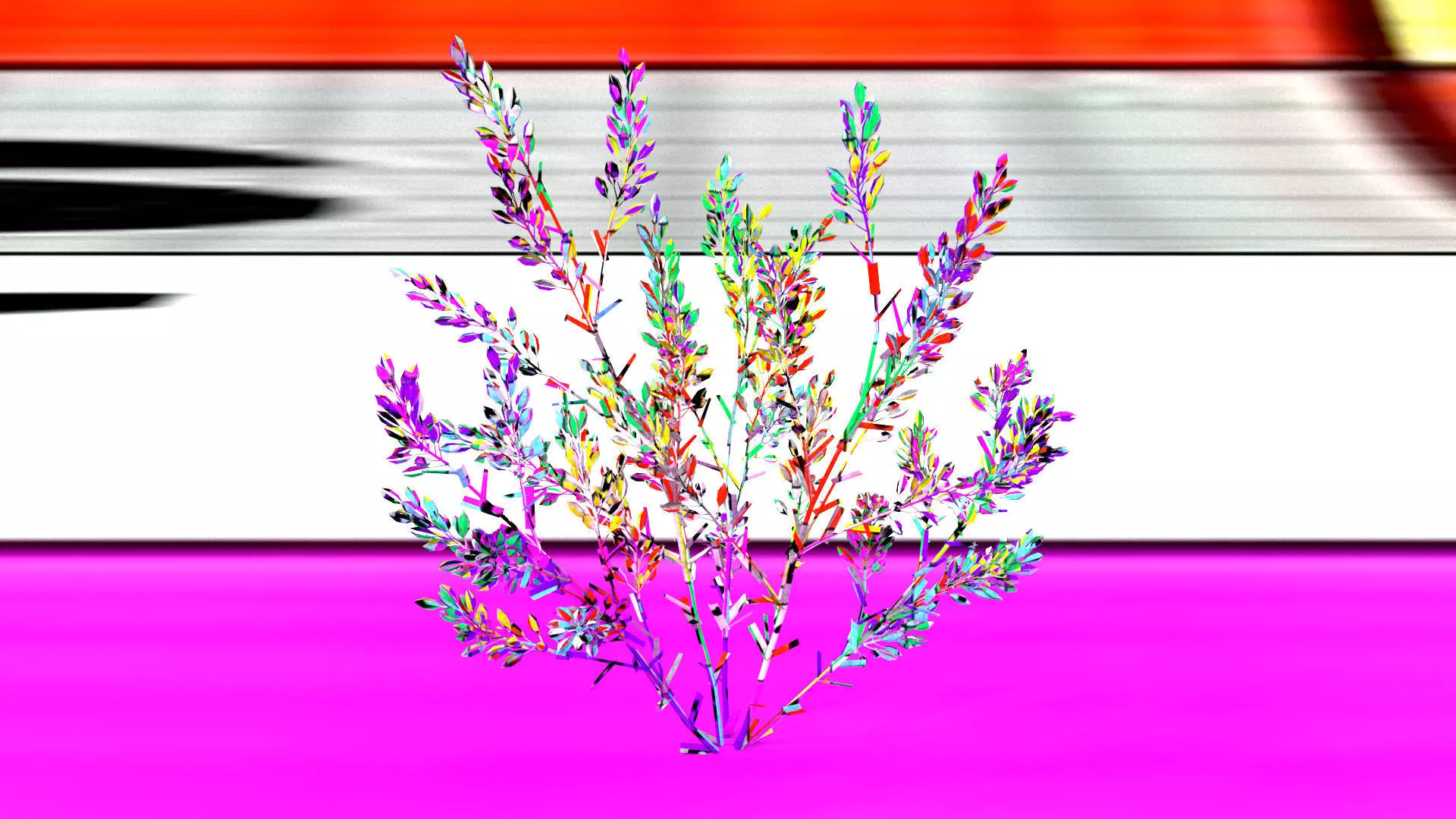 laos Lavender 3D model_13