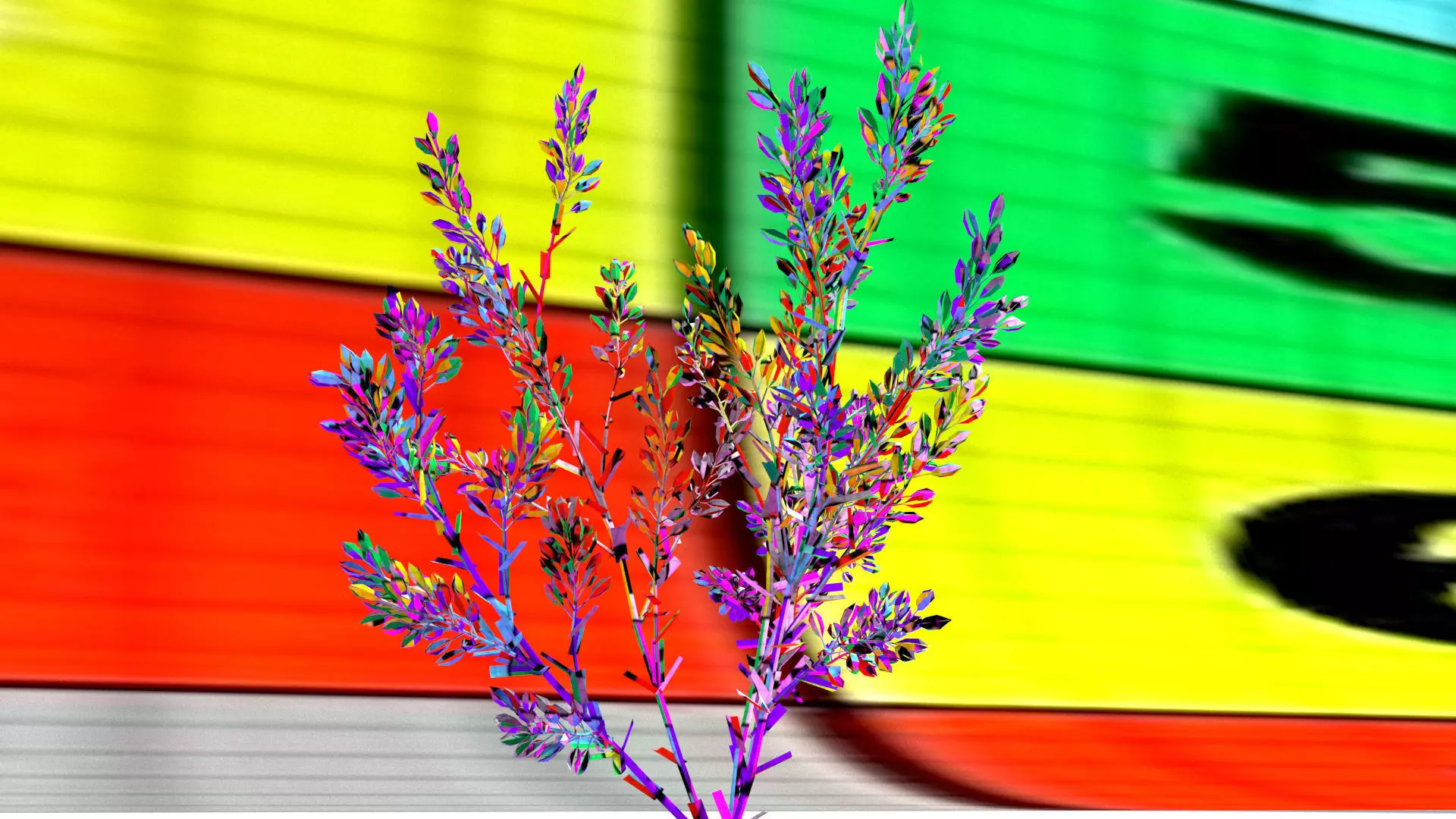 laos Lavender 3D model_14