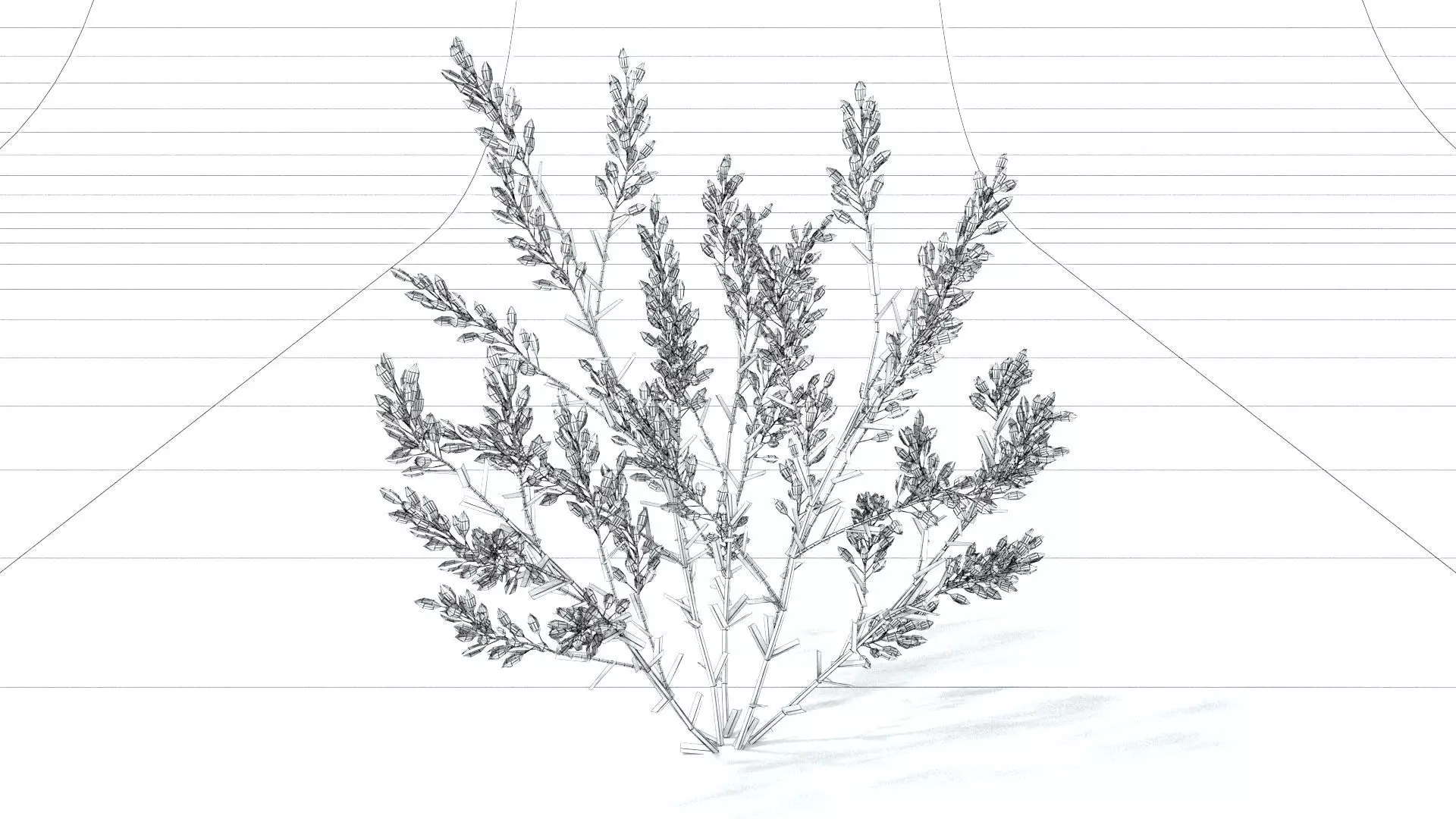 laos Lavender 3D model_8