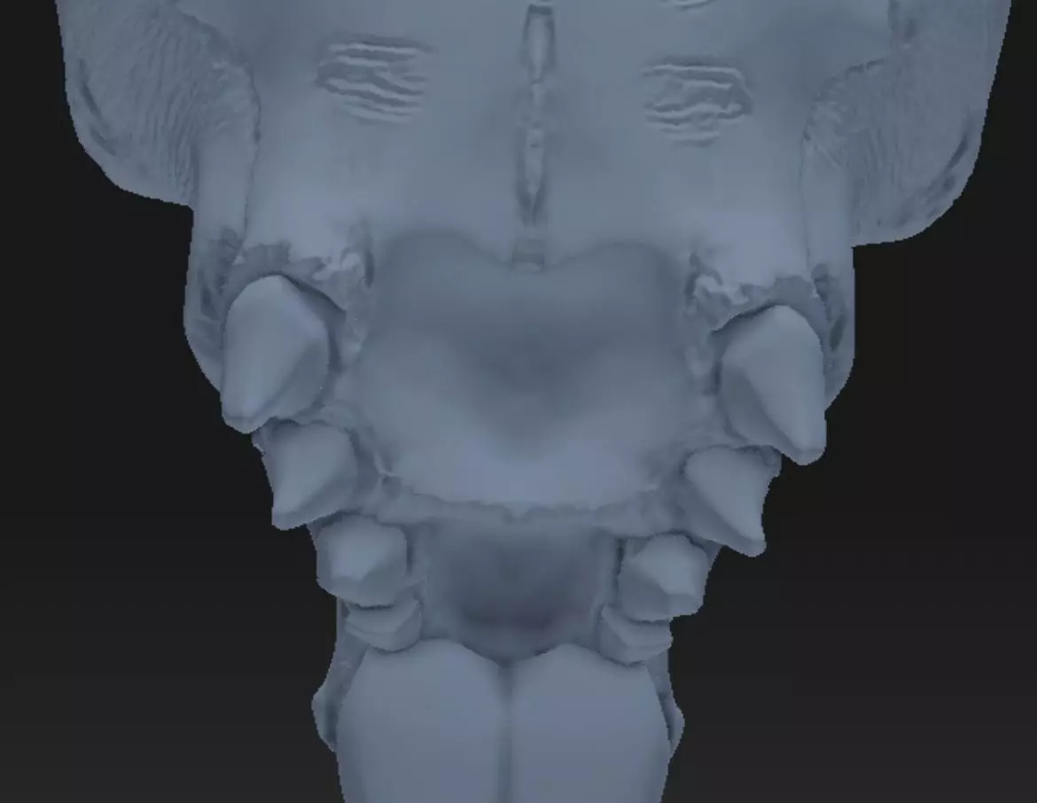 Baphomate Goat skull - resin pendant - stl 3D print model_10