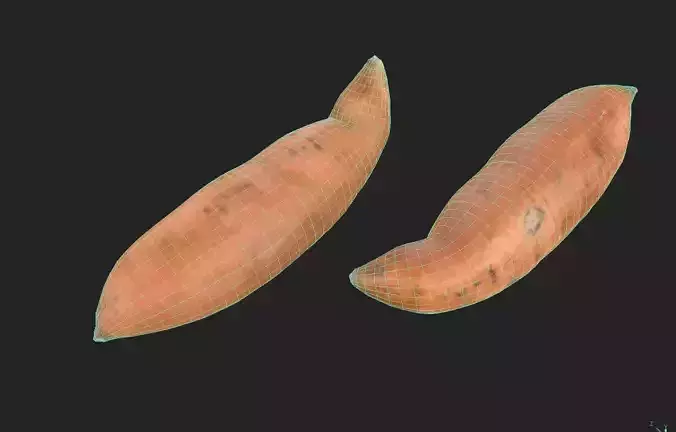 Patato M05 Low-poly 3D model 2