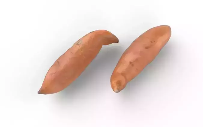 Patato M05 Low-poly 3D model 5