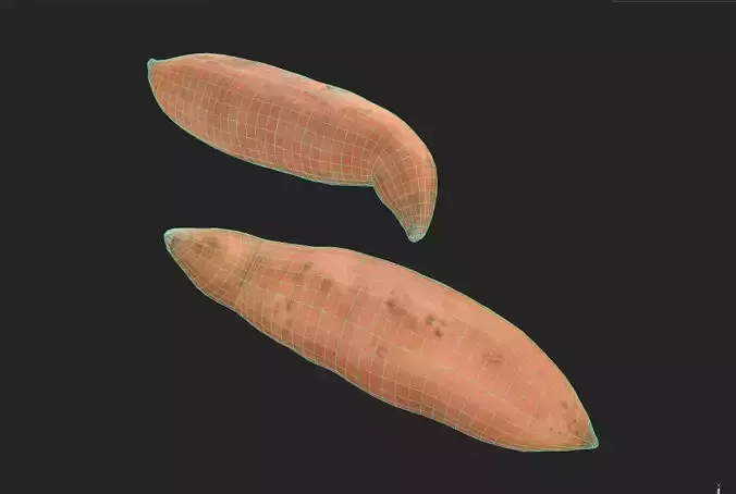 Patato M05 Low-poly 3D model 7