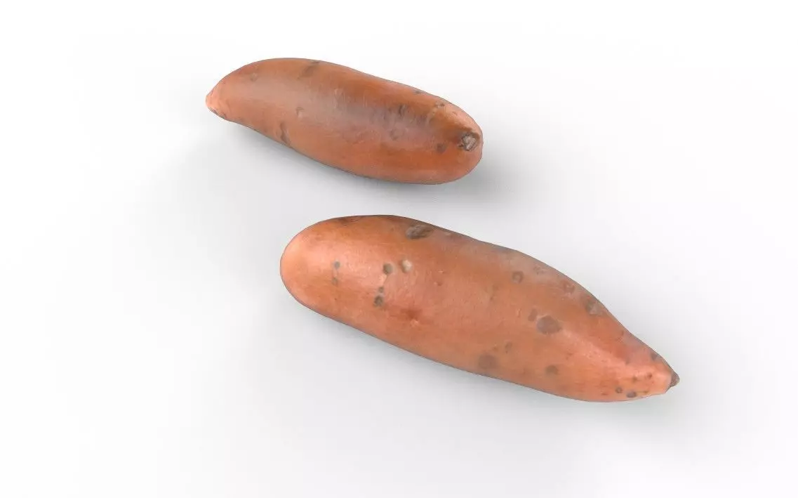 Patato M09 Low-poly 3D model_4