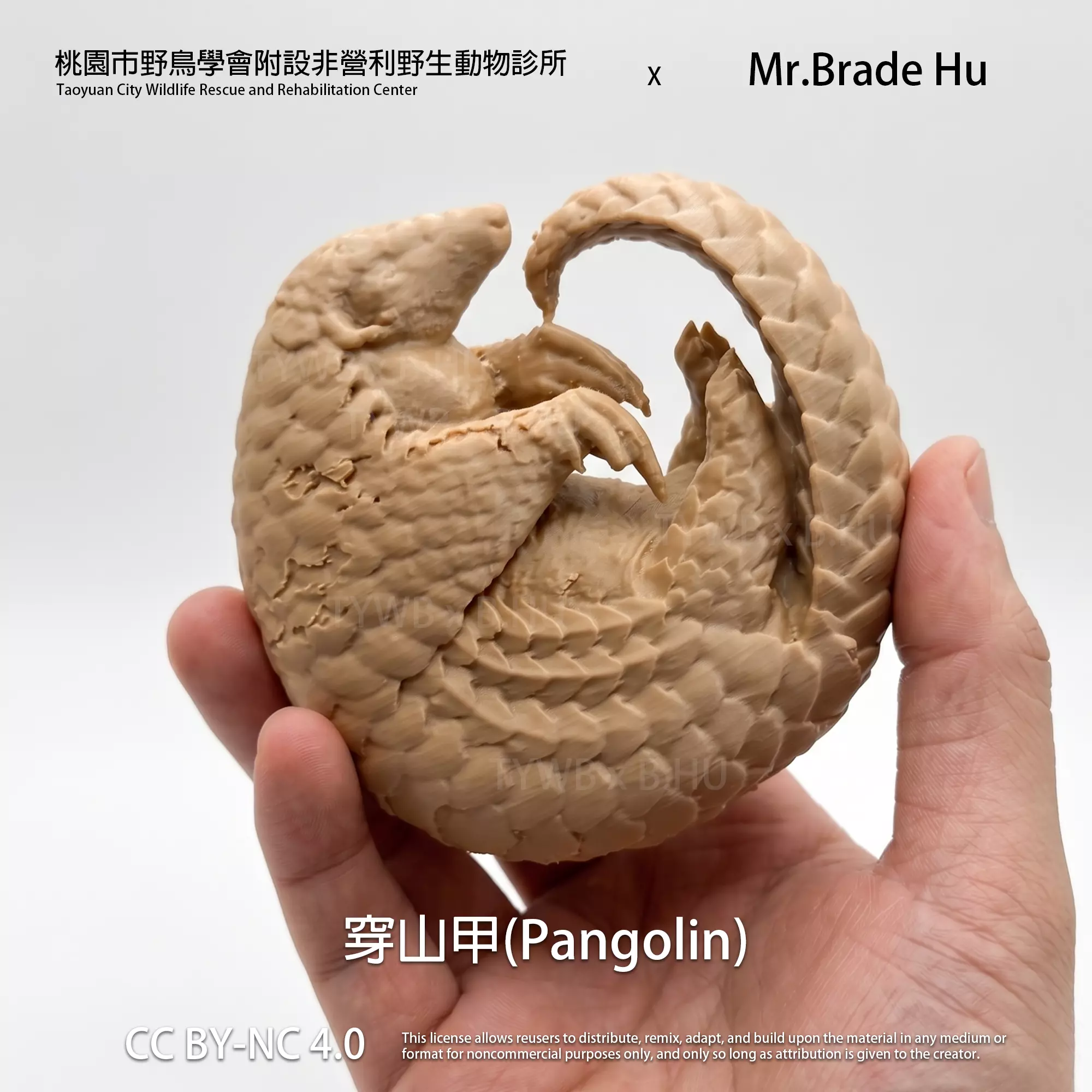 3D Scanned Model of a Roadkilled Pangolin Free 3D print model