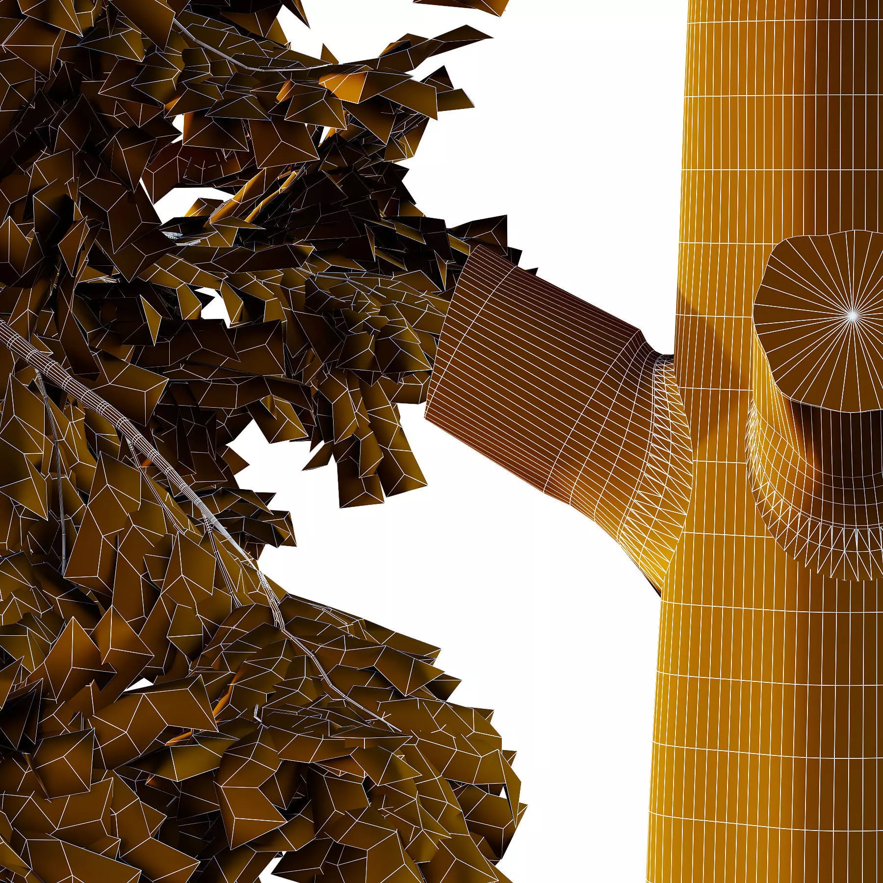 Excellent collection of Tree plants 15 Different Models 0021 _22