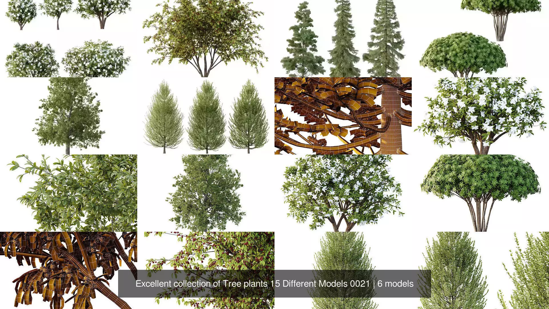 Excellent collection of Tree plants 15 Different Models 0021 _1