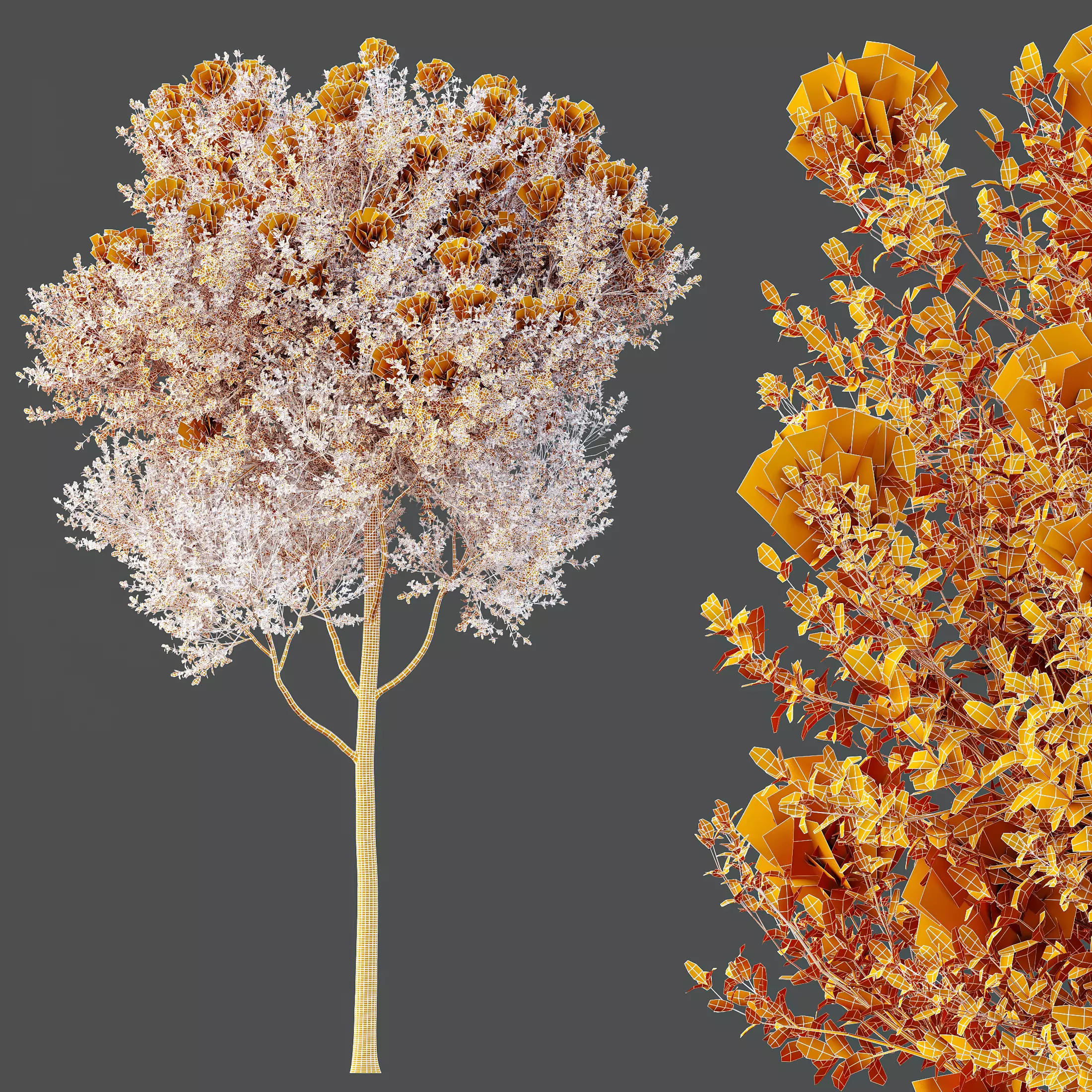 AV Teak Tectona Grandis Tree and Shorea Robusta Sal Tree 3D model_9