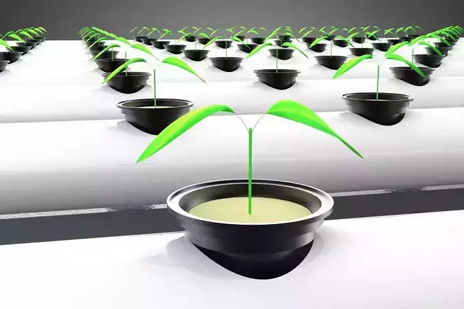 YOUNG SMALL PLANTS CROPS TREES PLANTLET SEEDLINGS SEED NFT TUBES